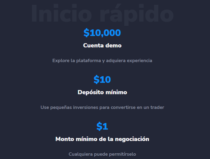 alligator stockity, de que se trata stockity